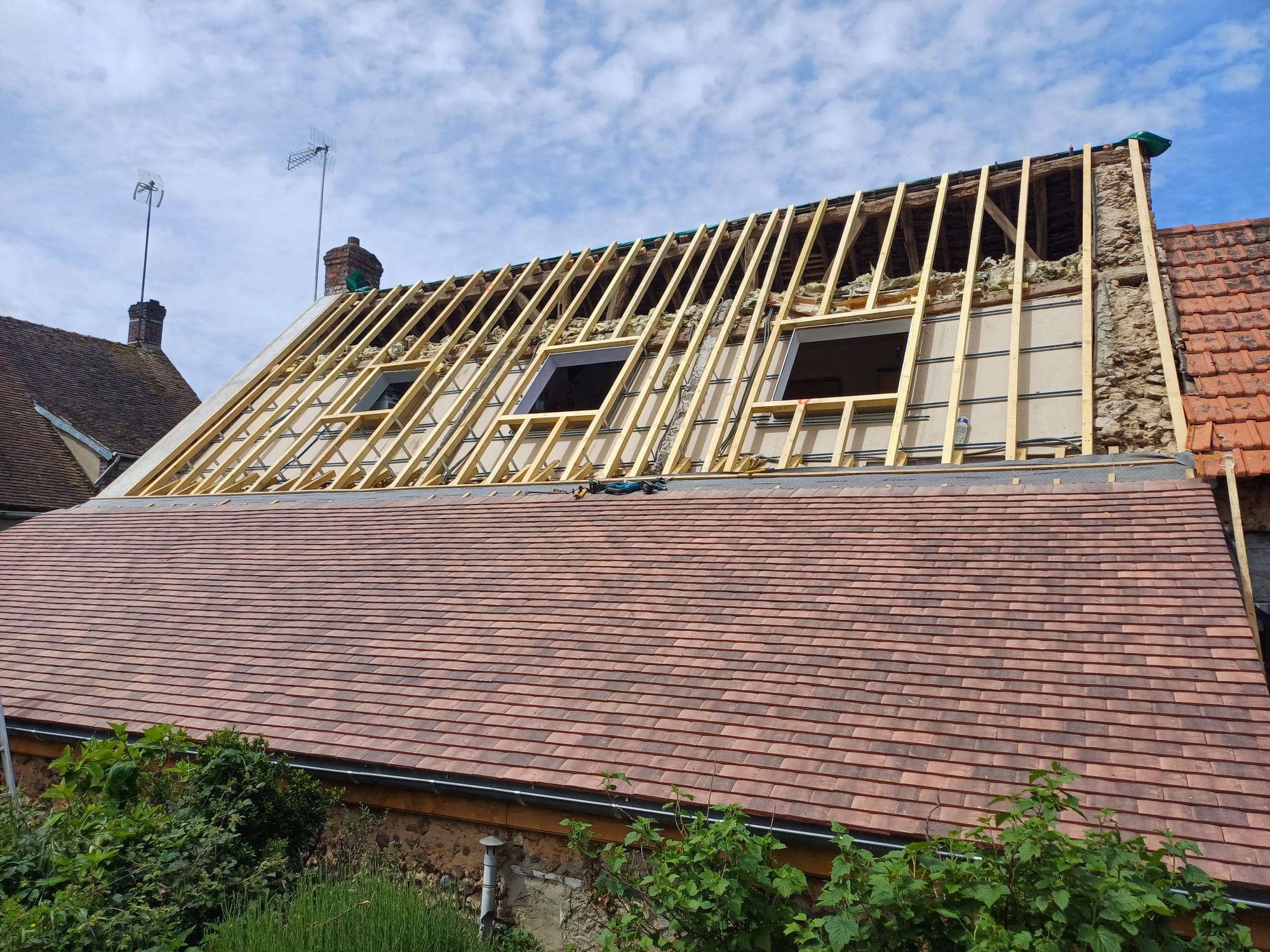 WhatsApp Image 2026-03-22 at 22.25.00